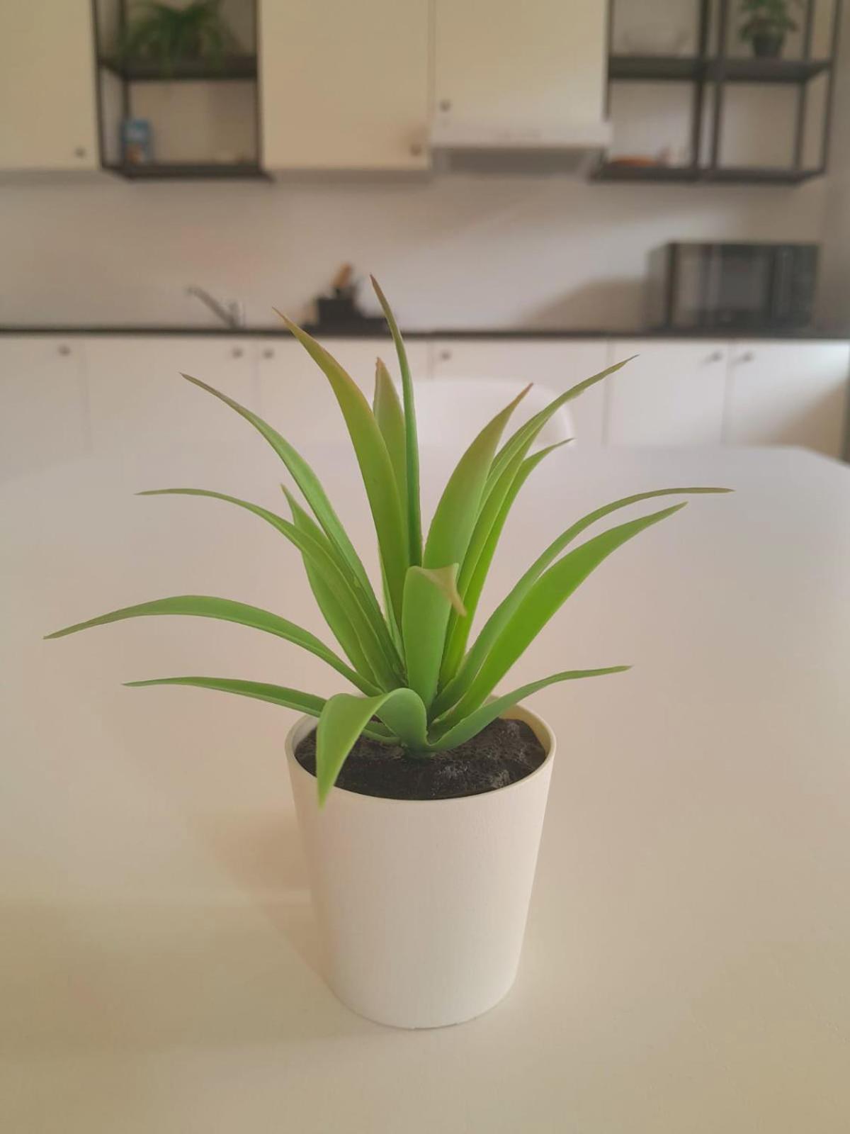 לובליאנה Rooms Miklosiceva מראה חיצוני תמונה